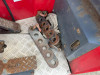 Moffett M4 20.3 2.000KG
