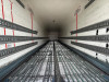 Pacton .LXD 342 Chain Conveyor/Walking Floor Lift-Axle NL Trailer
